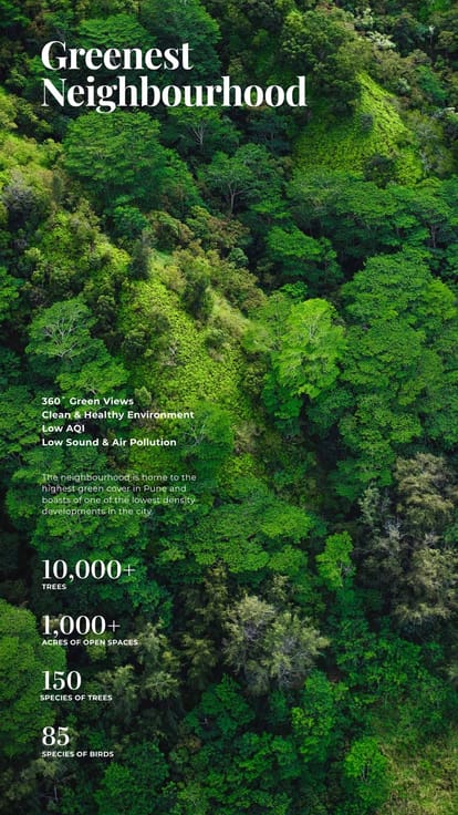 Skyi 5 Racecourse Brochure Image 8