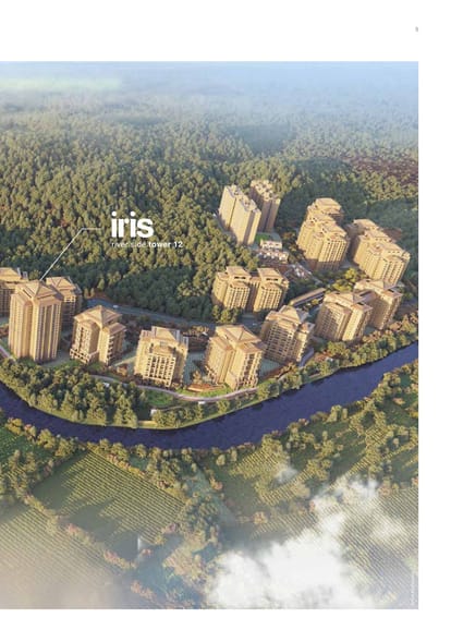 Skyi Songbirds Brochure Image 5