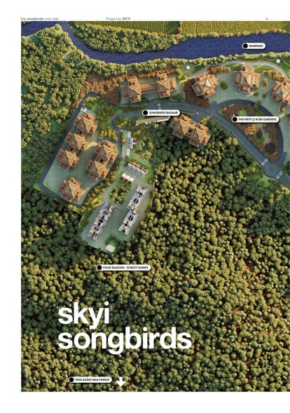 Skyi Songbirds Brochure Image 6