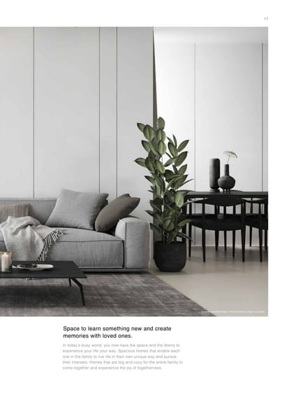 Skyi Songbirds Brochure Image 17