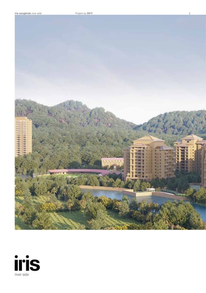 Skyi Songbirds Brochure Image 2
