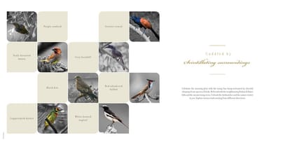 Kolte Patil 24K Altura Brochure Image 15