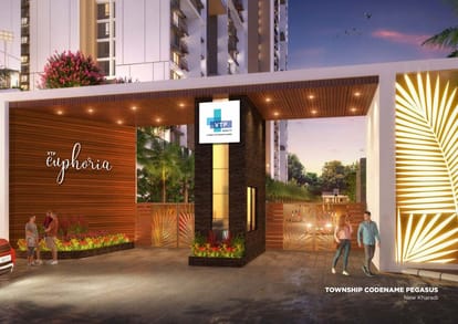 VTP Euphoria - Pegasus Brochure Image 1