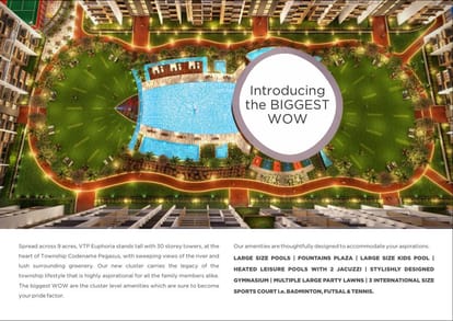 VTP Euphoria - Pegasus Brochure Image 4