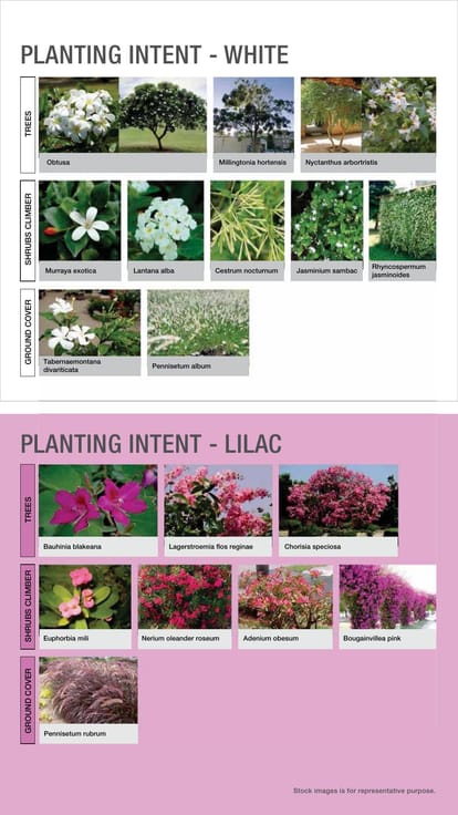 Godrej Nurture Brochure Image 39