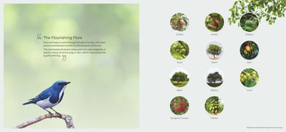 Rohan Harita Brochure Image 13