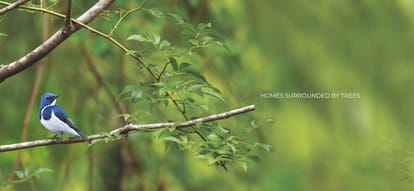 Rohan Harita Brochure Image 2