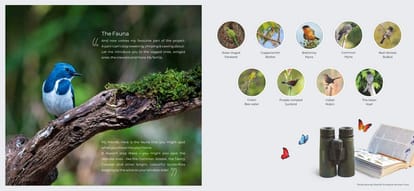 Rohan Harita Brochure Image 12