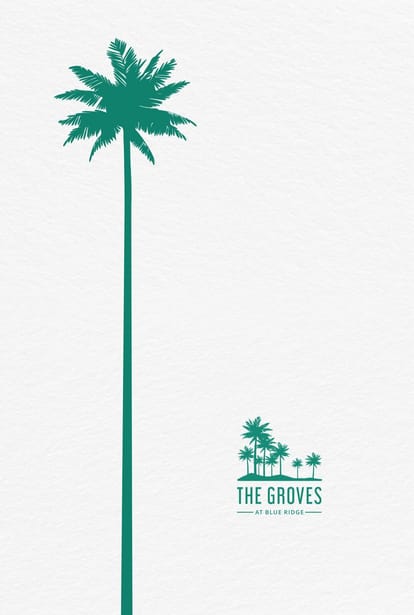 The Groves - Blue Ridge Brochure Image 1