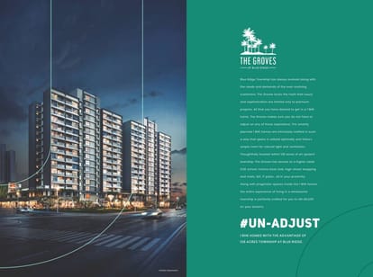 The Groves - Blue Ridge Brochure Image 2