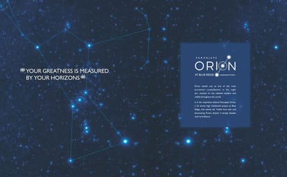 Orion - Blue Ridge Brochure Image 2