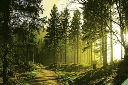 Marvel Selva Ridge Estate Brochure Image 17