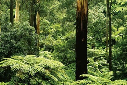 Marvel Selva Ridge Estate Brochure Image 3