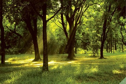 Marvel Selva Ridge Estate Brochure Image 9