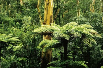 Marvel Selva Ridge Estate Brochure Image 2