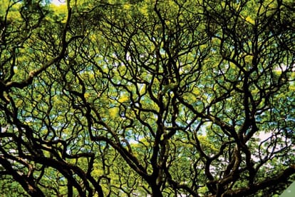Marvel Selva Ridge Estate Brochure Image 33
