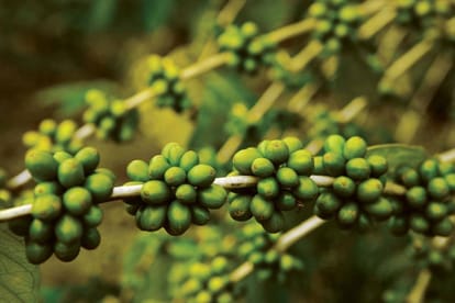 Marvel Selva Ridge Estate Brochure Image 18