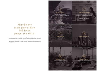 Arkade Rare Brochure Image 4