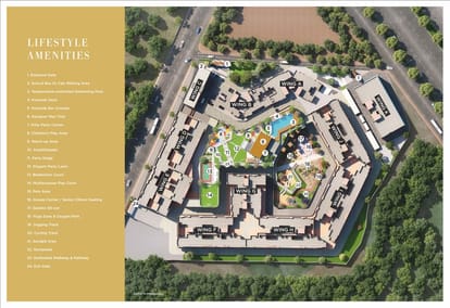 Basil Maximus Brochure Image 7