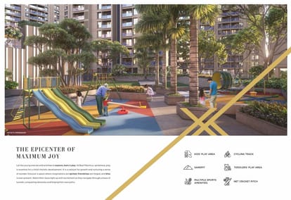 Basil Maximus Brochure Image 5