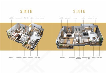 Basil Maximus Brochure Image 9