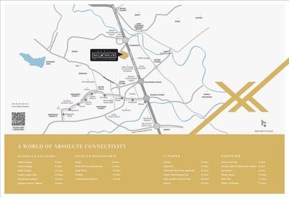 Basil Maximus Brochure Image 11