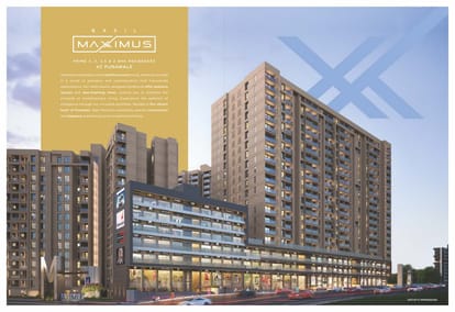Basil Maximus Brochure Image 3