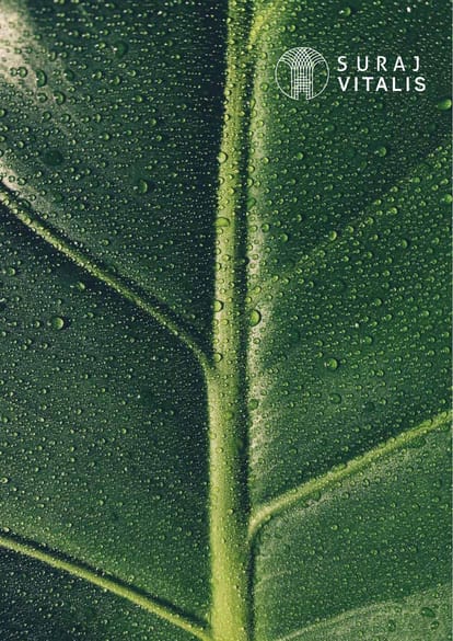 Suraj Vitalis Brochure Image 1