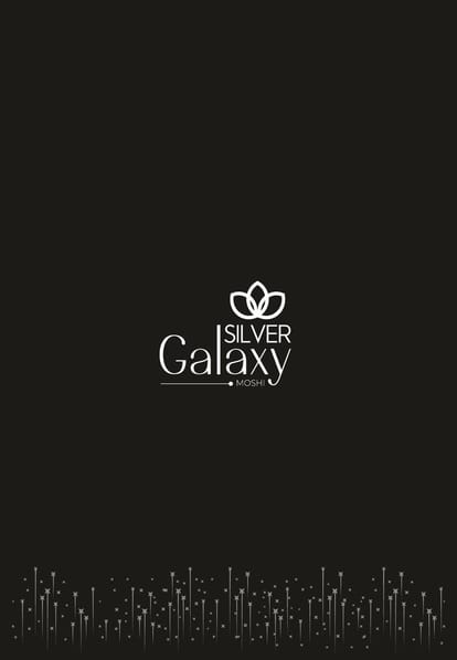 Silver Galaxy Brochure Image 1