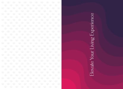 Silver Galaxy Brochure Image 2