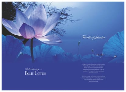 Blue Lotus Phase 3 Brochure Image 2