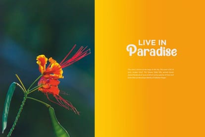 Geetanjali A Brochure Image 3