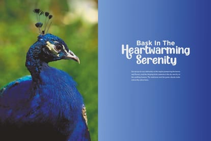 Geetanjali A Brochure Image 2