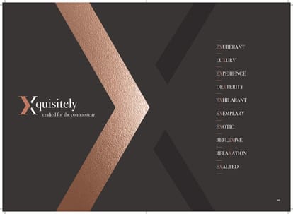 Elite X Brochure Image 36