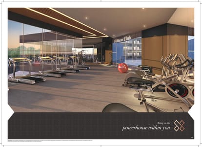 Elite X Brochure Image 28
