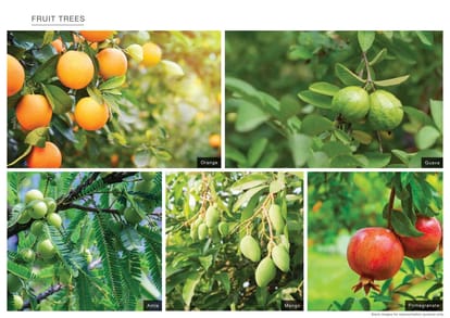 Godrej Habitat Brochure Image 30