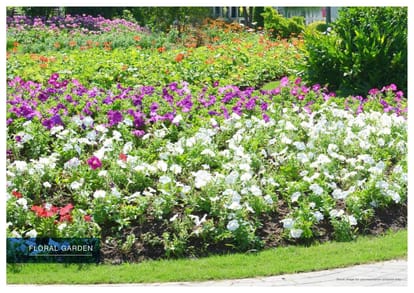 Godrej Habitat Brochure Image 34