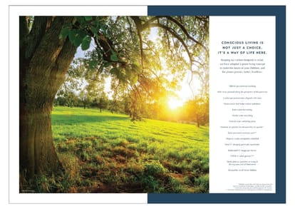 Emaar Amaris Brochure Image 4