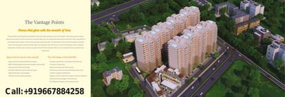 Pyramid Elite Brochure Image 5