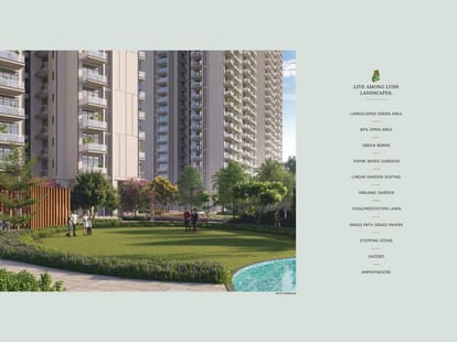 SS Camasa Brochure Image 8