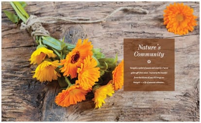 ATS Marigold Brochure Image 3