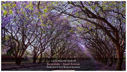 Silverglades The Legacy Brochure Image 13