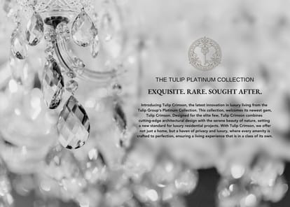 Tulip Crimson Brochure Image 3