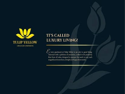Tulip Yellow Brochure Image 16