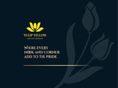 Tulip Yellow Brochure Image 33