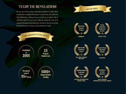 Tulip Yellow Brochure Image 2