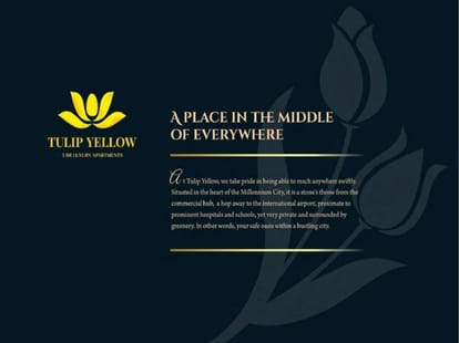 Tulip Yellow Brochure Image 27