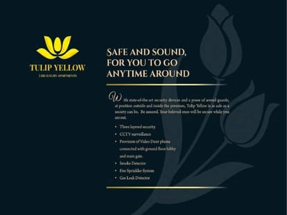 Tulip Yellow Brochure Image 23