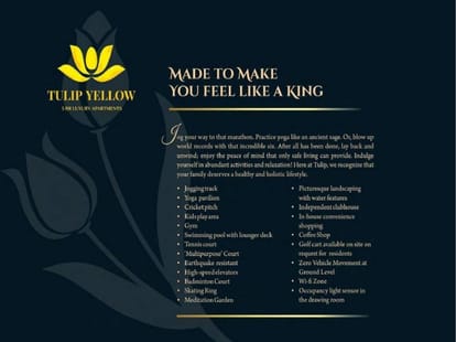 Tulip Yellow Brochure Image 8