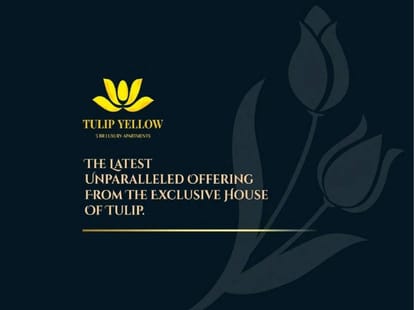 Tulip Yellow Brochure Image 4